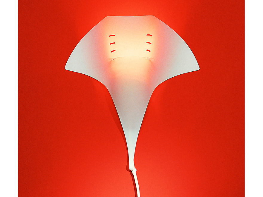 Manta